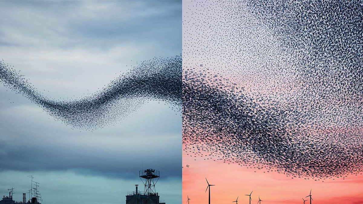 團結高階主管團隊