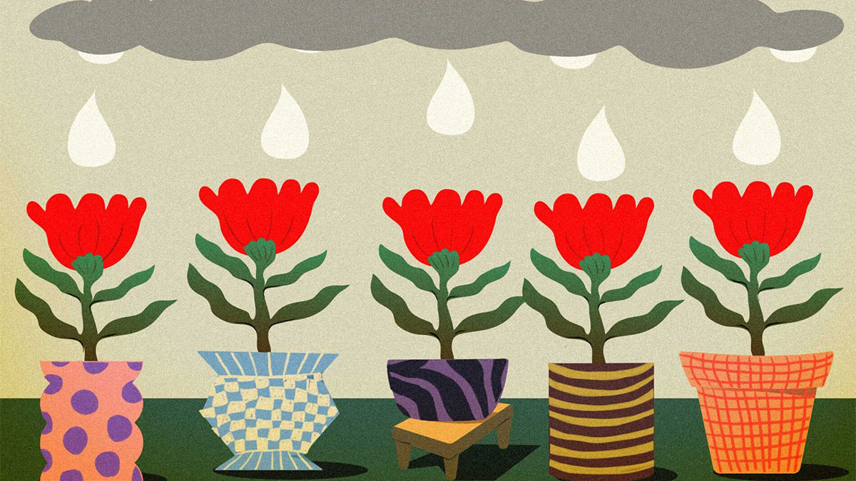 反DEI聲浪大起，企業領導人可嘗試「FAIR」框架