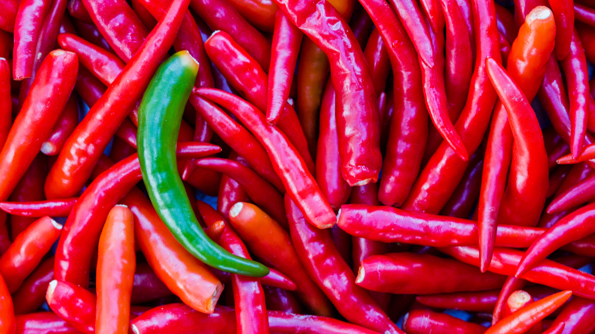 小脫軌才能大創新