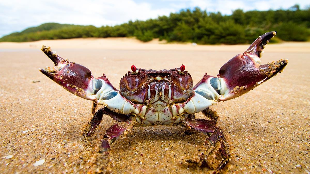 如何與不懂合作的人合作