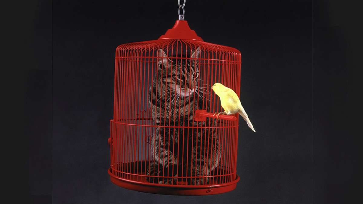 三步驟盤點自己在工作上的影響力