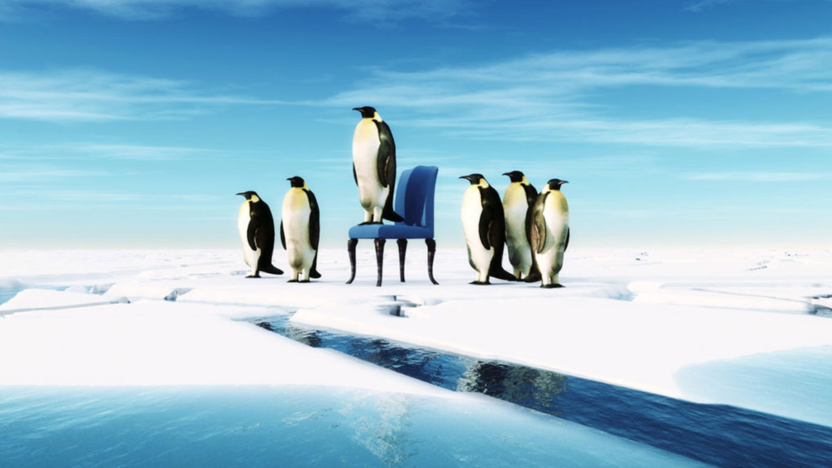 到野外探險，特訓你的領導力