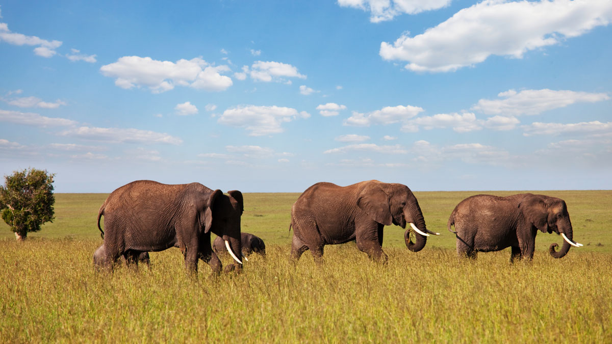 打造符合ESG精神的供應鏈