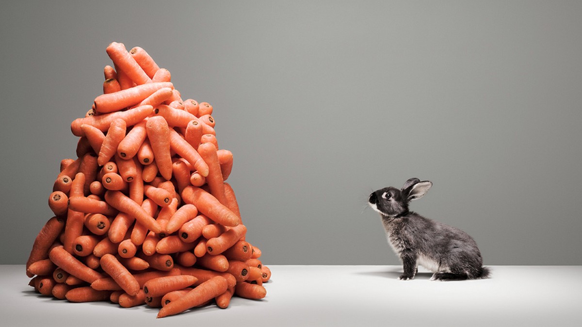 別再設定簡單的目標了