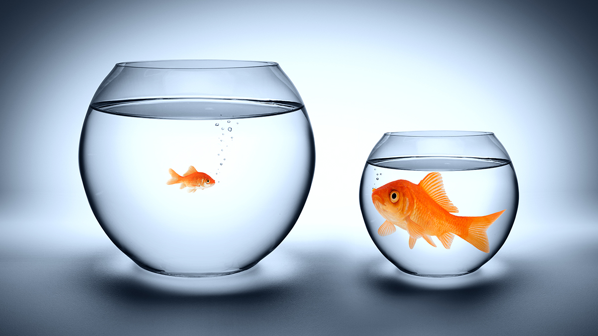 被員工搶盡鋒頭，該怎麼辦？