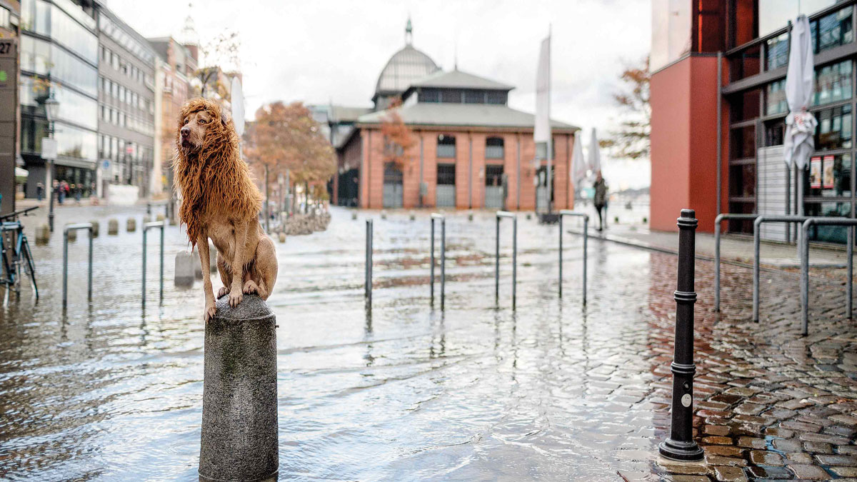 開發自己的領導風格