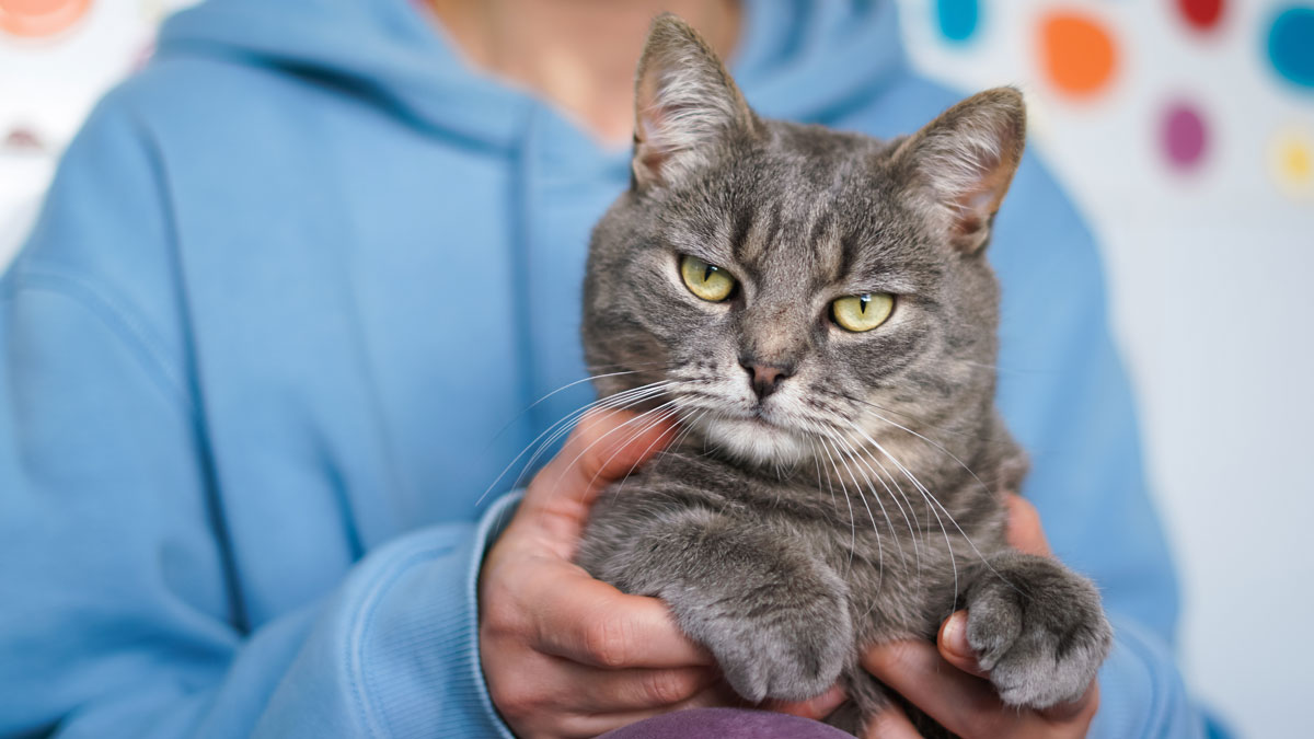 職場必學向上管理 4 步驟，助你成為主管的愛將