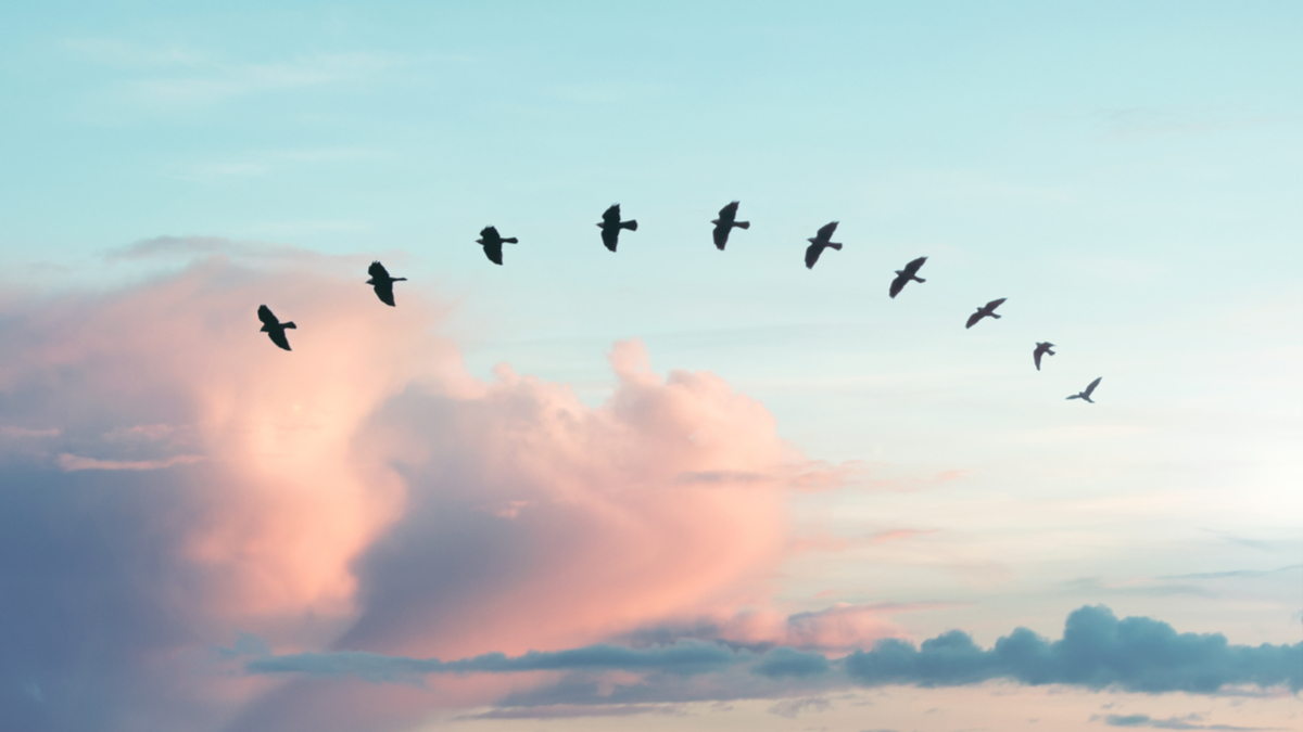 行為經濟學如何拯救漁業與海洋