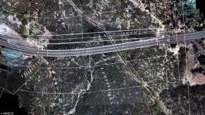 請問無人機律師