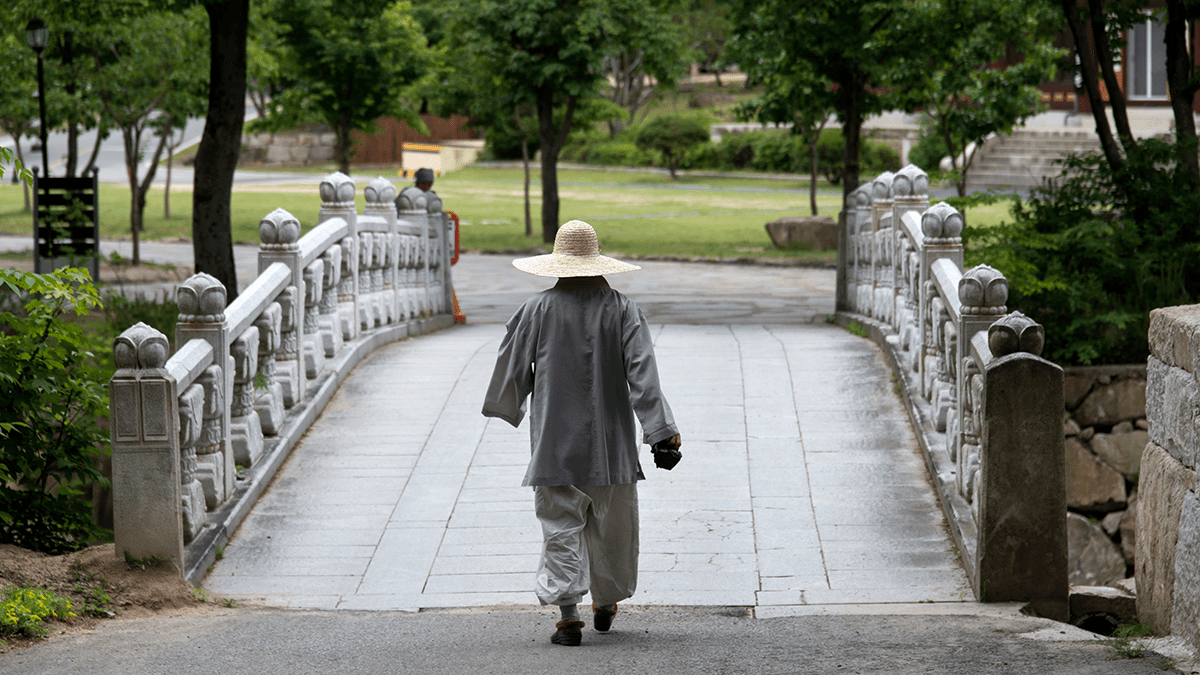 無師自通的至高智慧