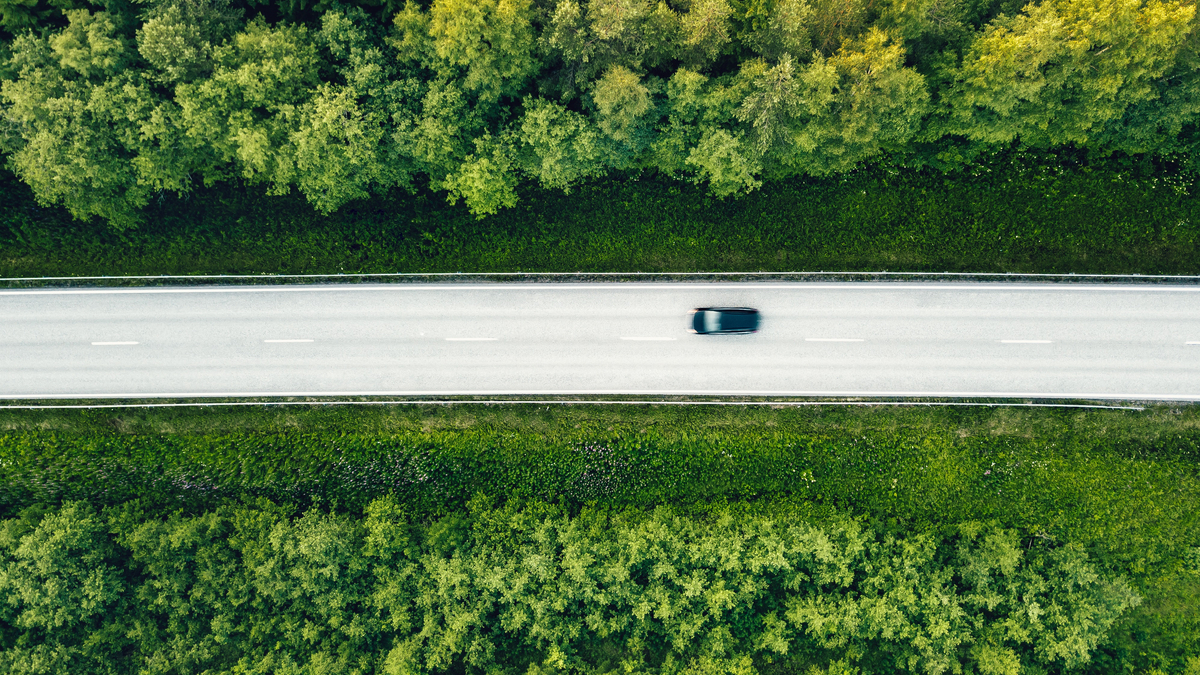 綠色規則拚創新