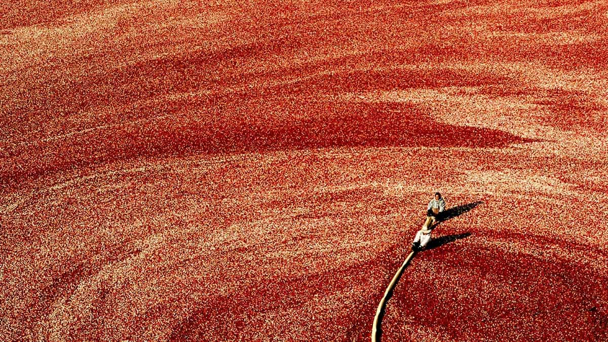 把時間留給關鍵工作