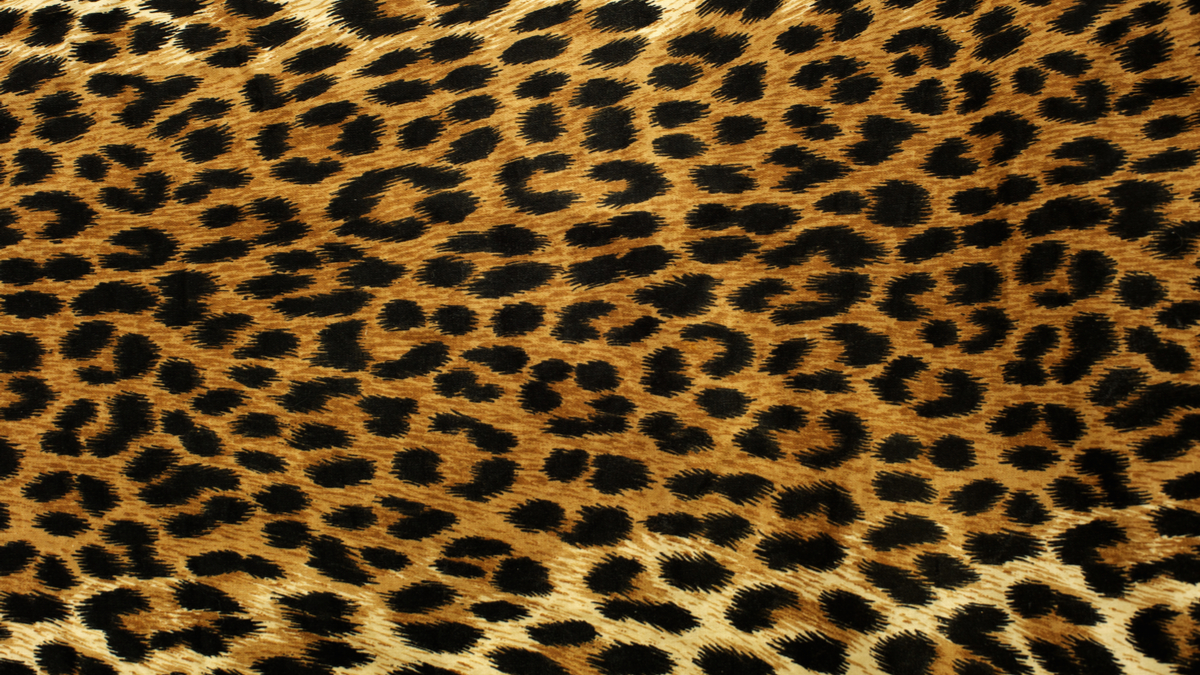 拙劣領導者仍有改過向善機會