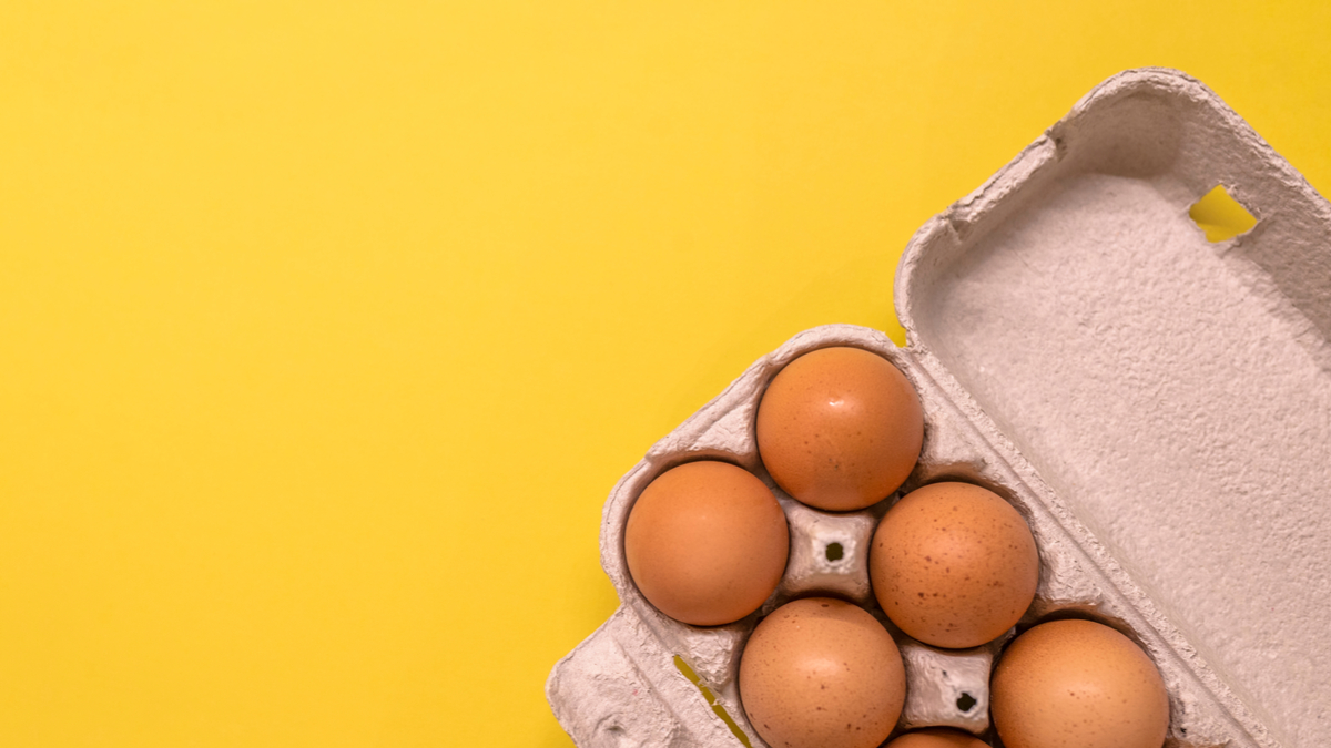 使你的組織具有抗脆弱性