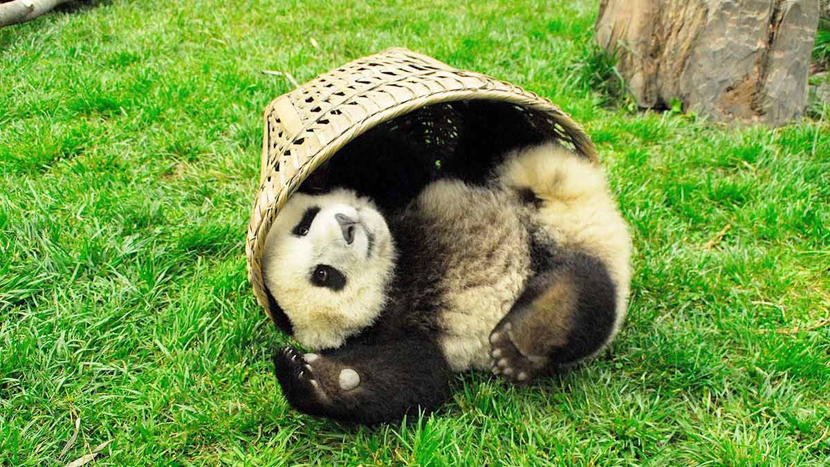 讓工作隨下班結束