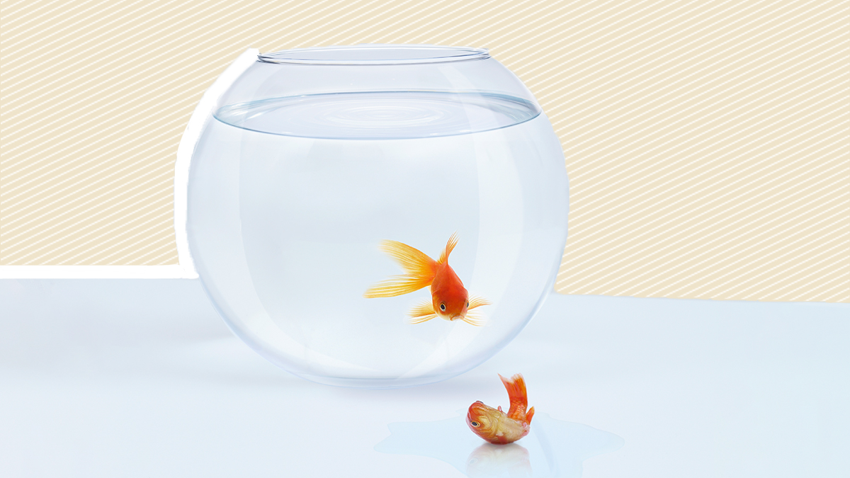 預防過勞，你需要更好的上司