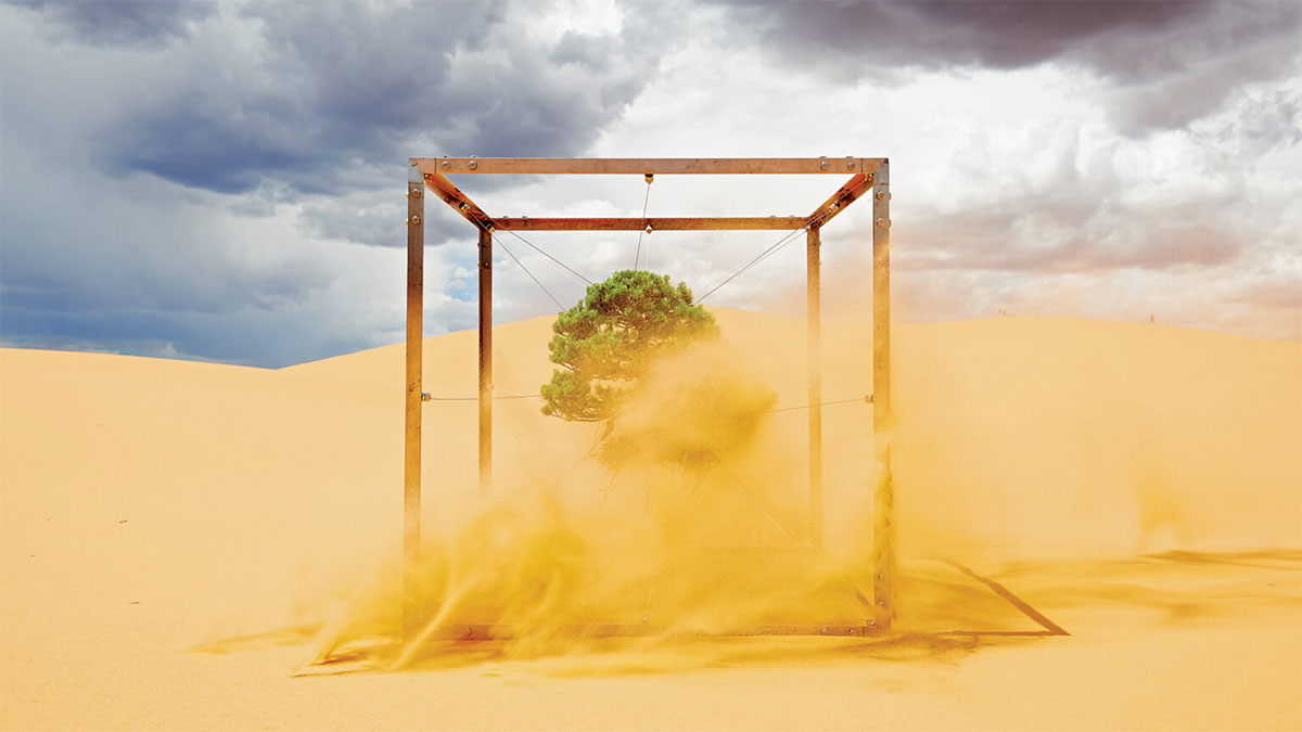 關於本文藝術作品：日本藝術家東信（Azuma Makoto）將他50年樹齡的盆栽置於一座開放式鋼架中，於世界各地進行拍攝，藉此探索一個觀念：美與活力出現在意想不到的地景。