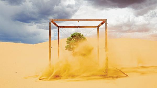 多變時代的成功新公式