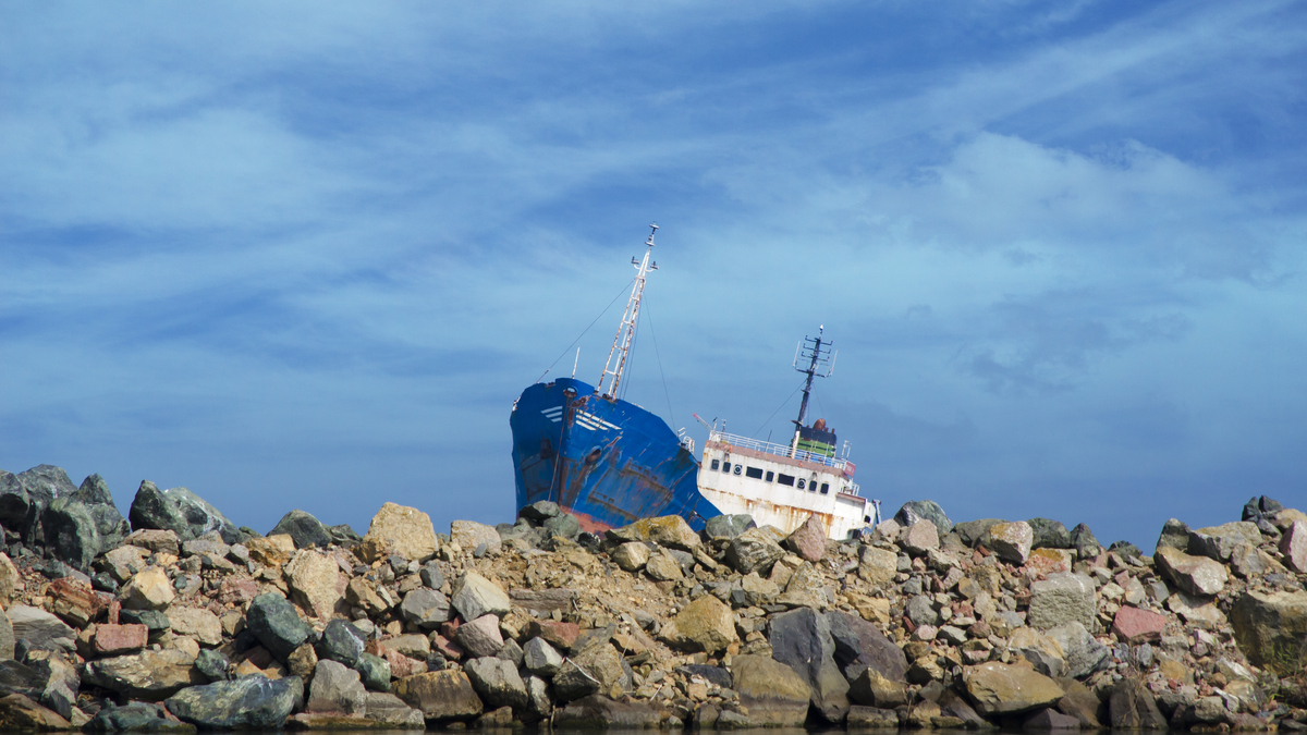 菜鳥難撐大局？