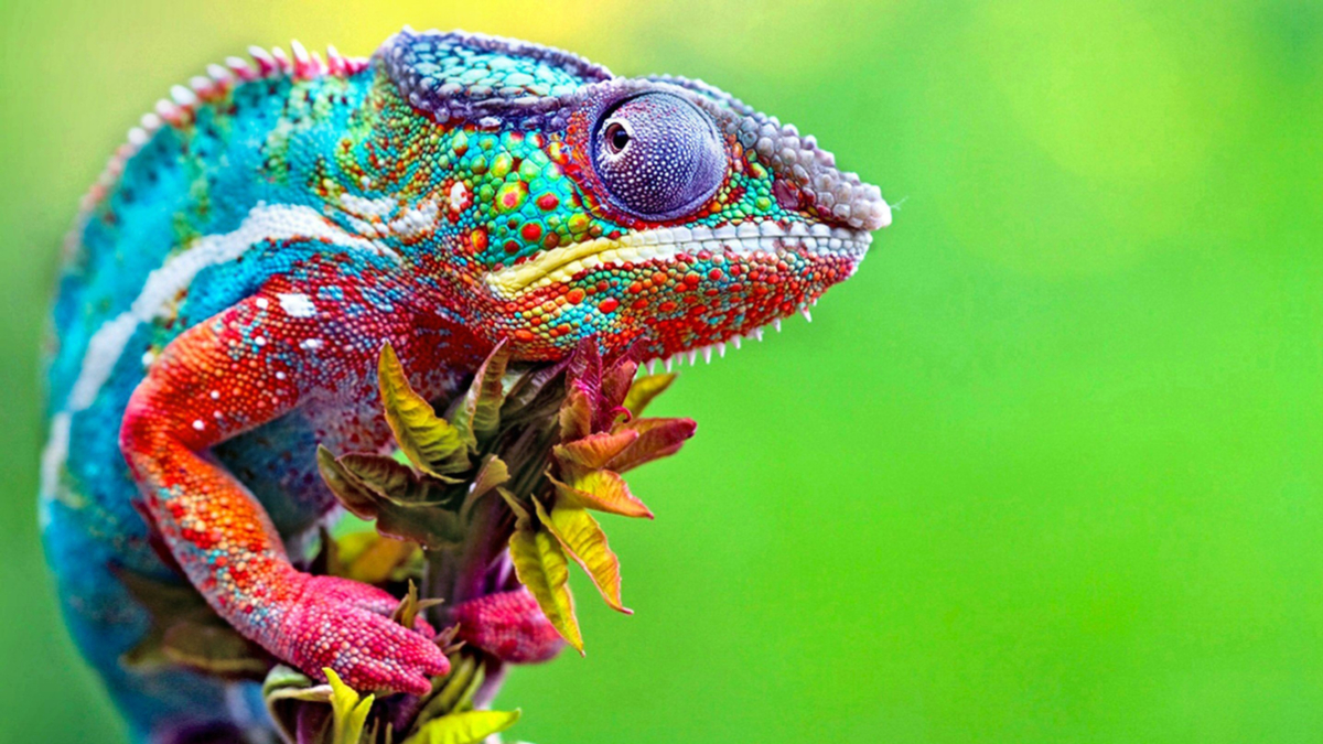 新創公司的下一個大機會