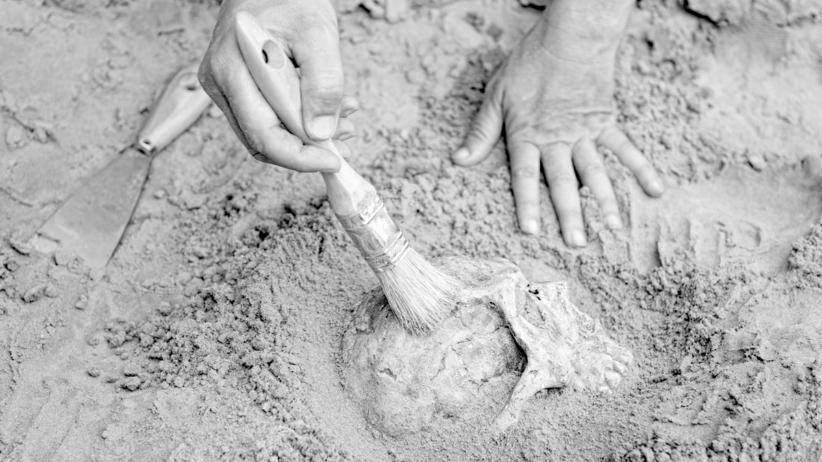 想了解消費者資料，那就如同人類學家一樣地思考吧