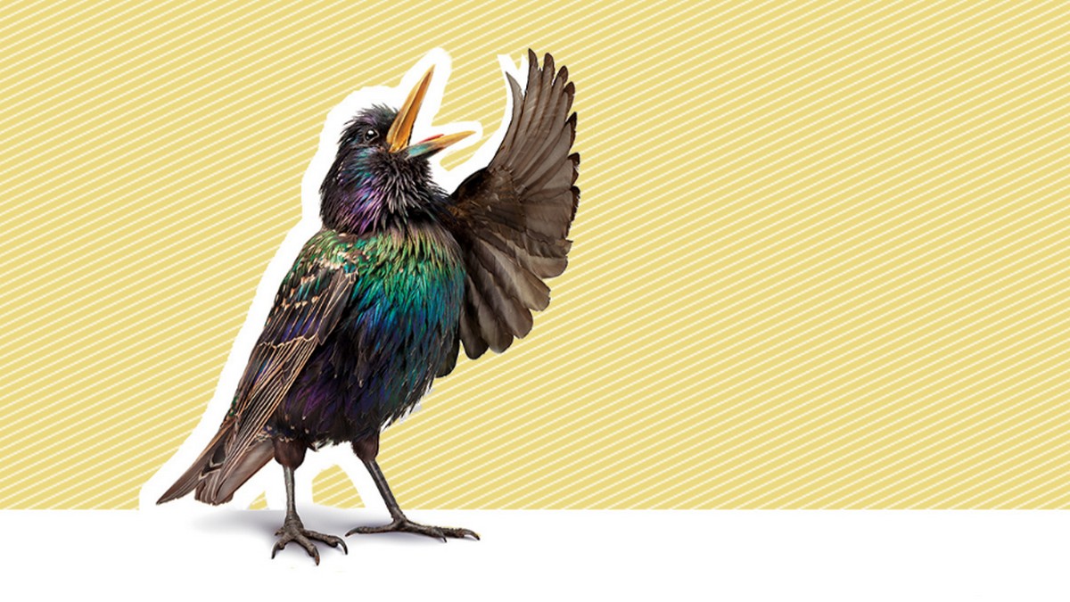 流傳兩千年的說服藝術