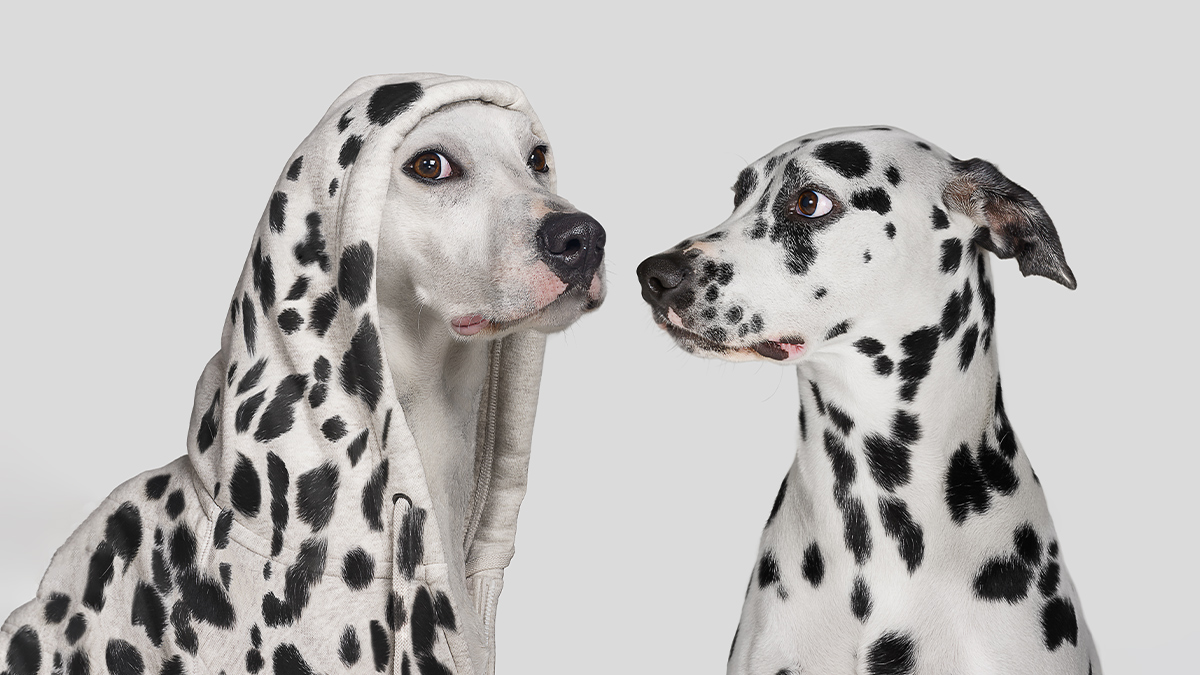 強化你的領導影響力