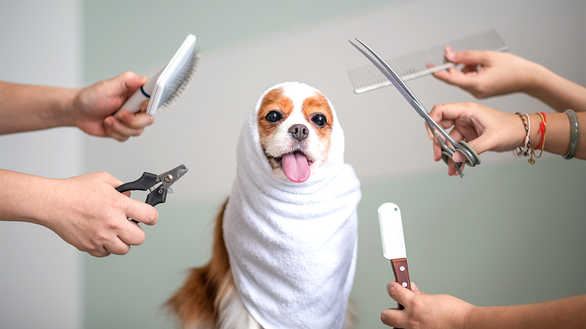 是時候升級專業形象了？請從四大關鍵更新你的個人品牌