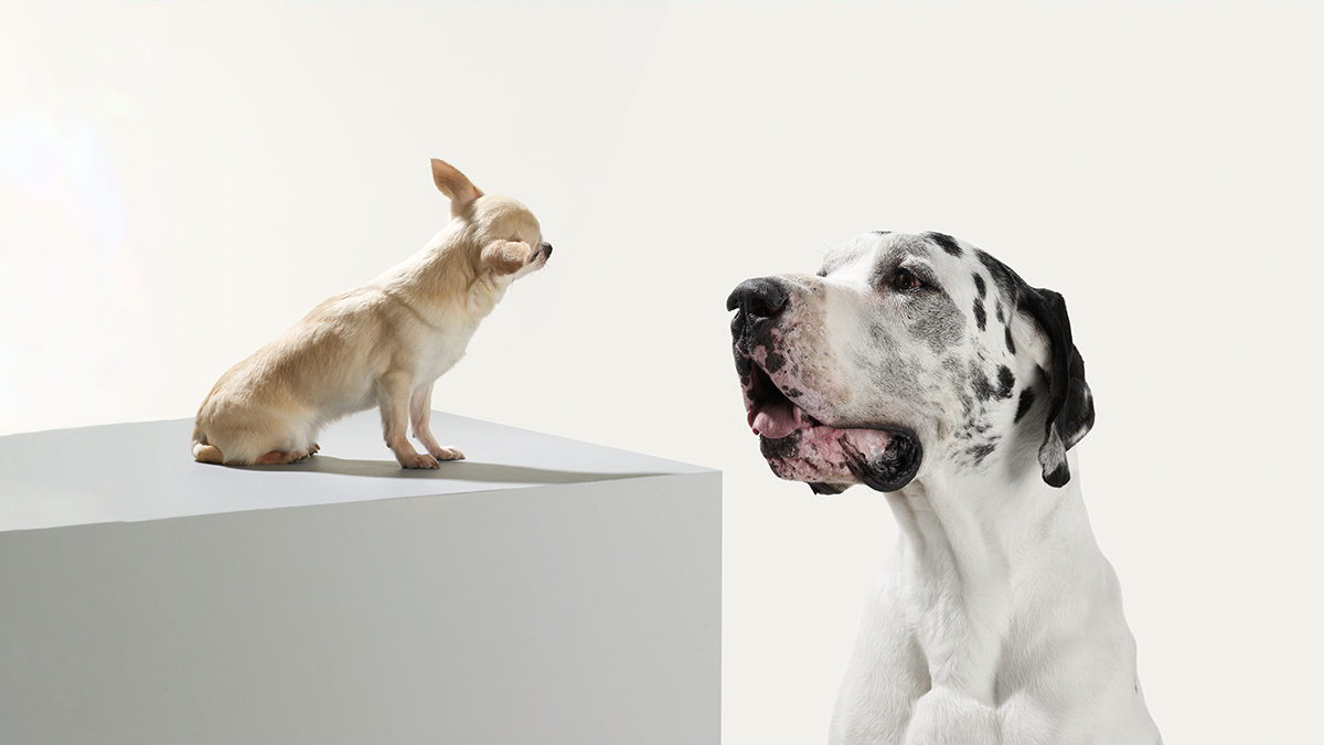 企業與新創公司合作三大策略