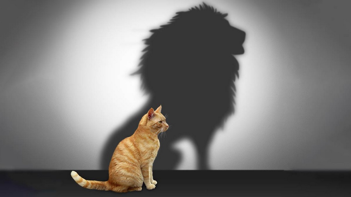 要看領導人能做什麼，不看他們做過什麼