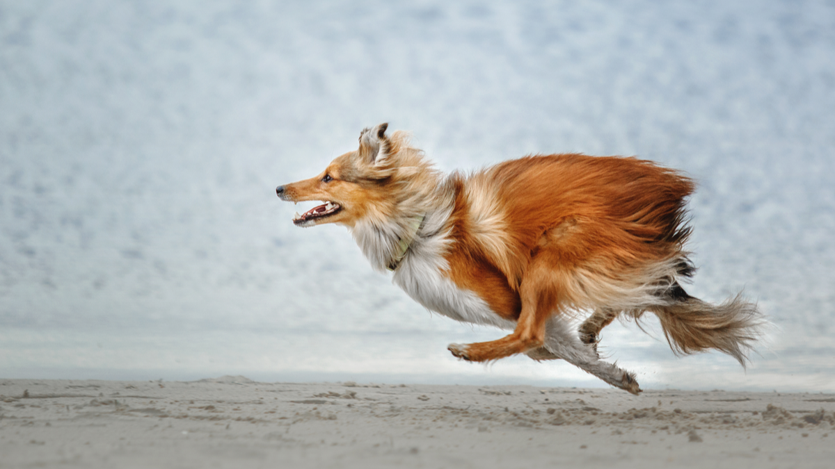 讓執行力追上企圖心