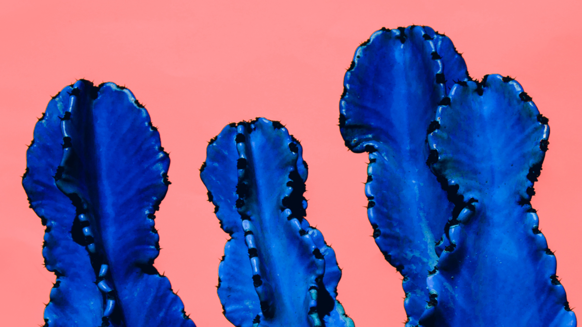 惠普與財務藝術