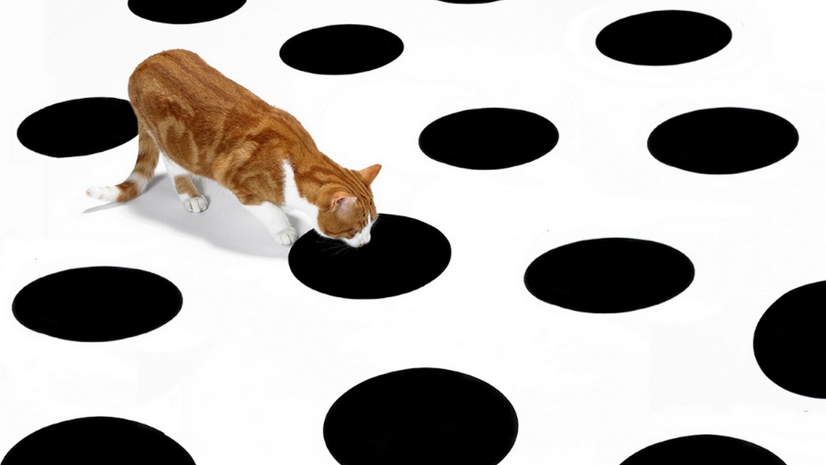 克服分心習慣，揮別一事無成