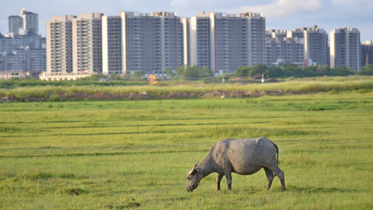 中國農村也有龐大商機