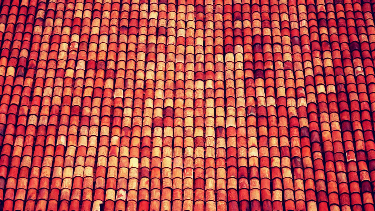 從龐大的數據中找出見解