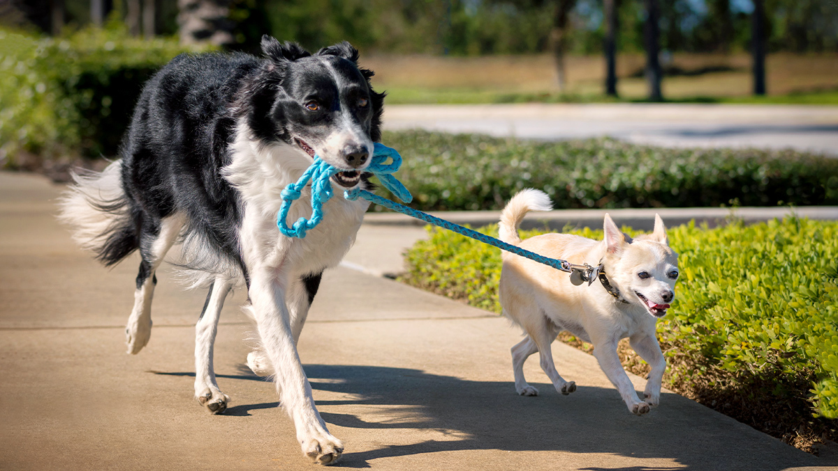 缺乏動力？想想你的工作如何幫助他人