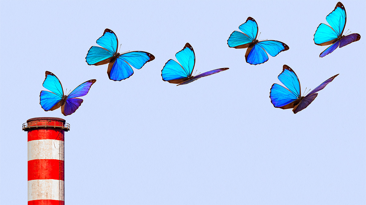 為碳抵換提供資金的行動方案