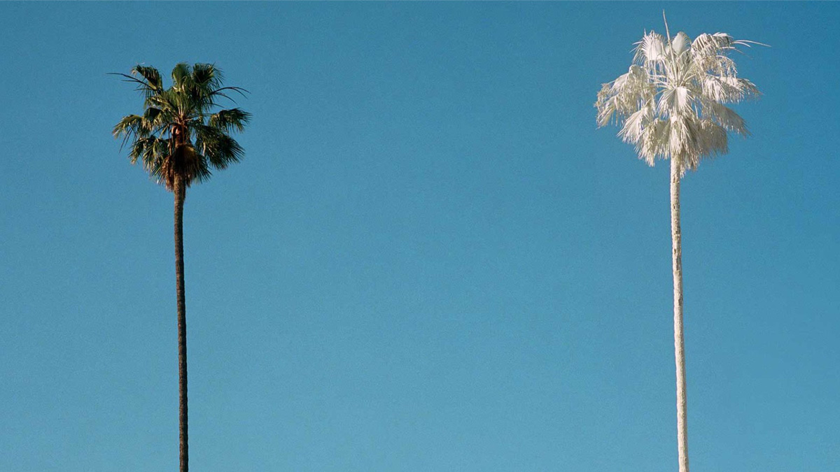 完美執行長何在？