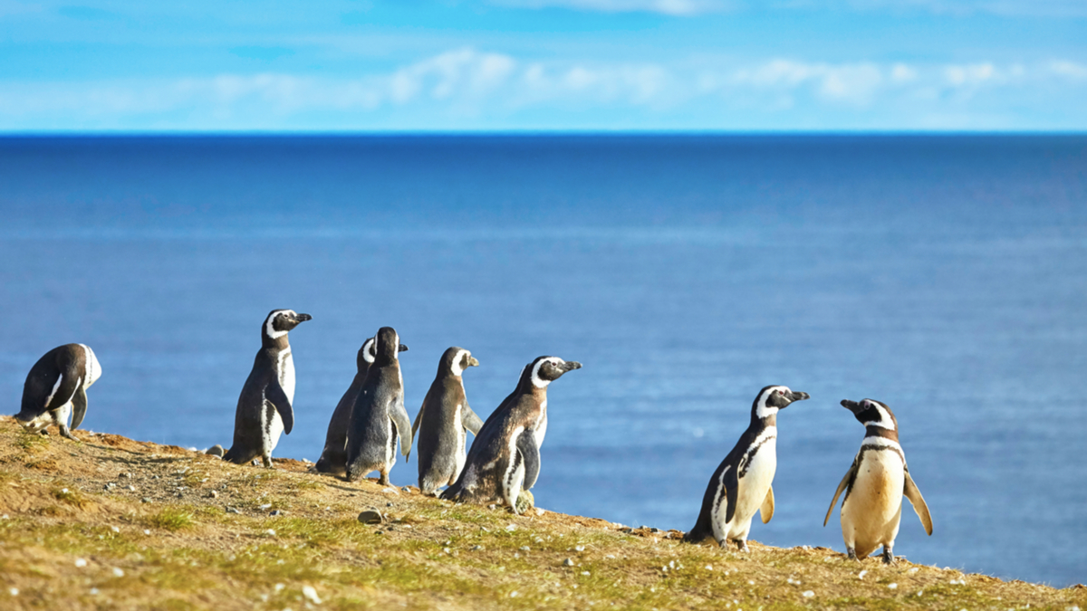 運用群眾之力，改善企業決策