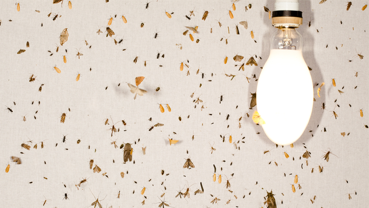 數位策略不應只在乎「注意力」