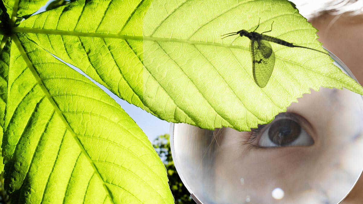 創業社群可為數位產業借鏡