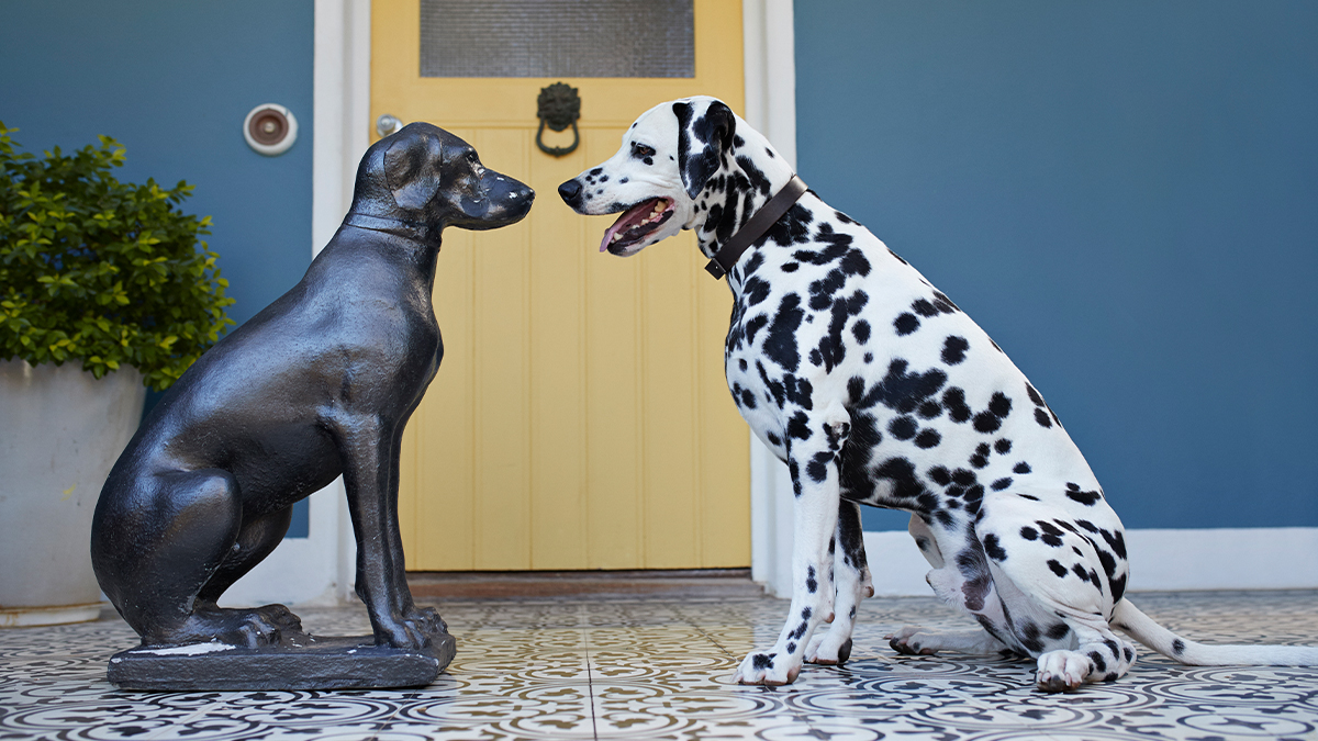 你的指導計畫何以行不通