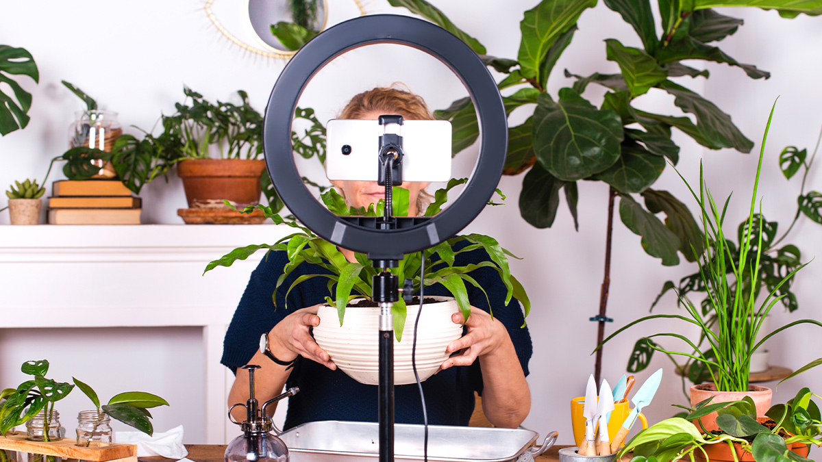 網紅經濟發燒，企業如何透過創作者的影響力獲益？