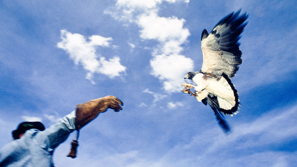 最好的領導人願意被別人說服