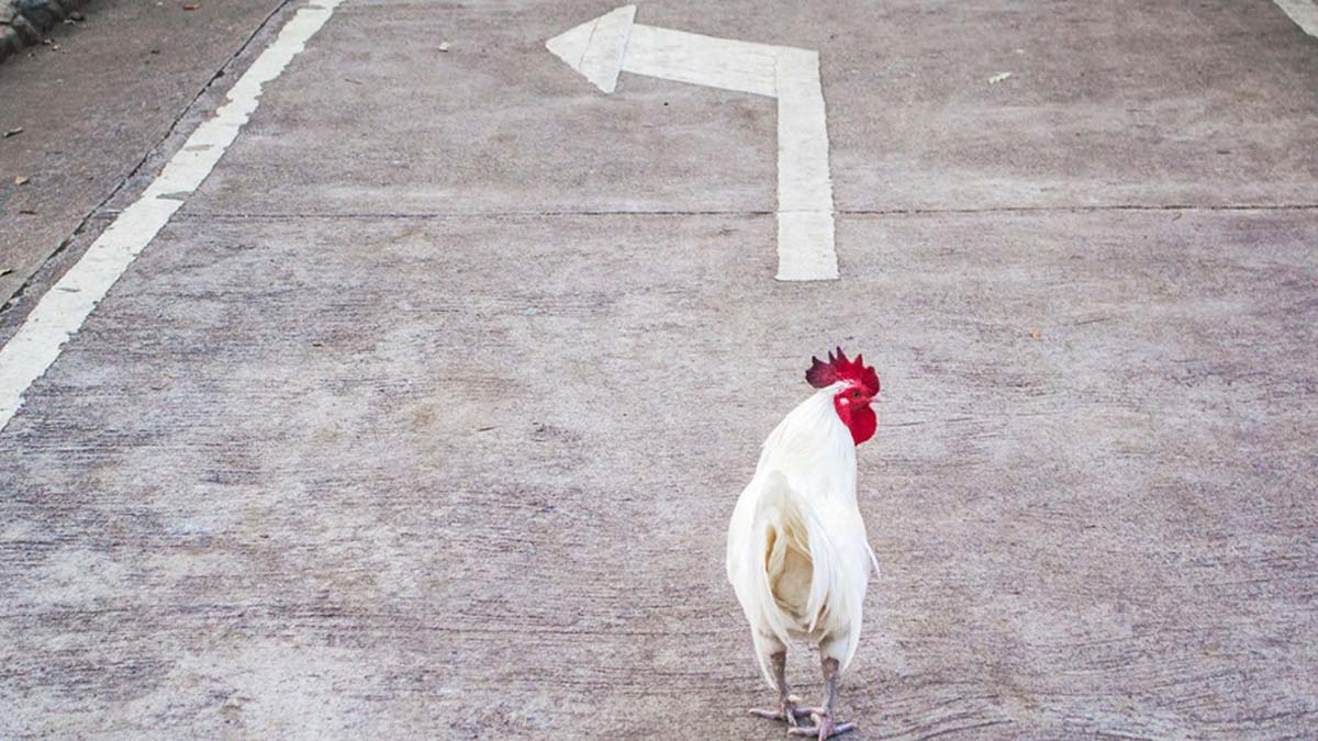 職涯路茫茫，如何是好？