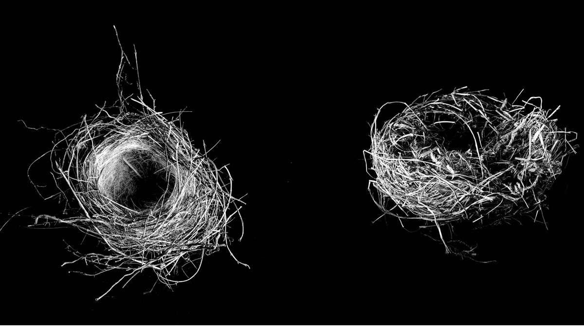 為工作分隔兩地怎麼辦？專訪社會學家找解方