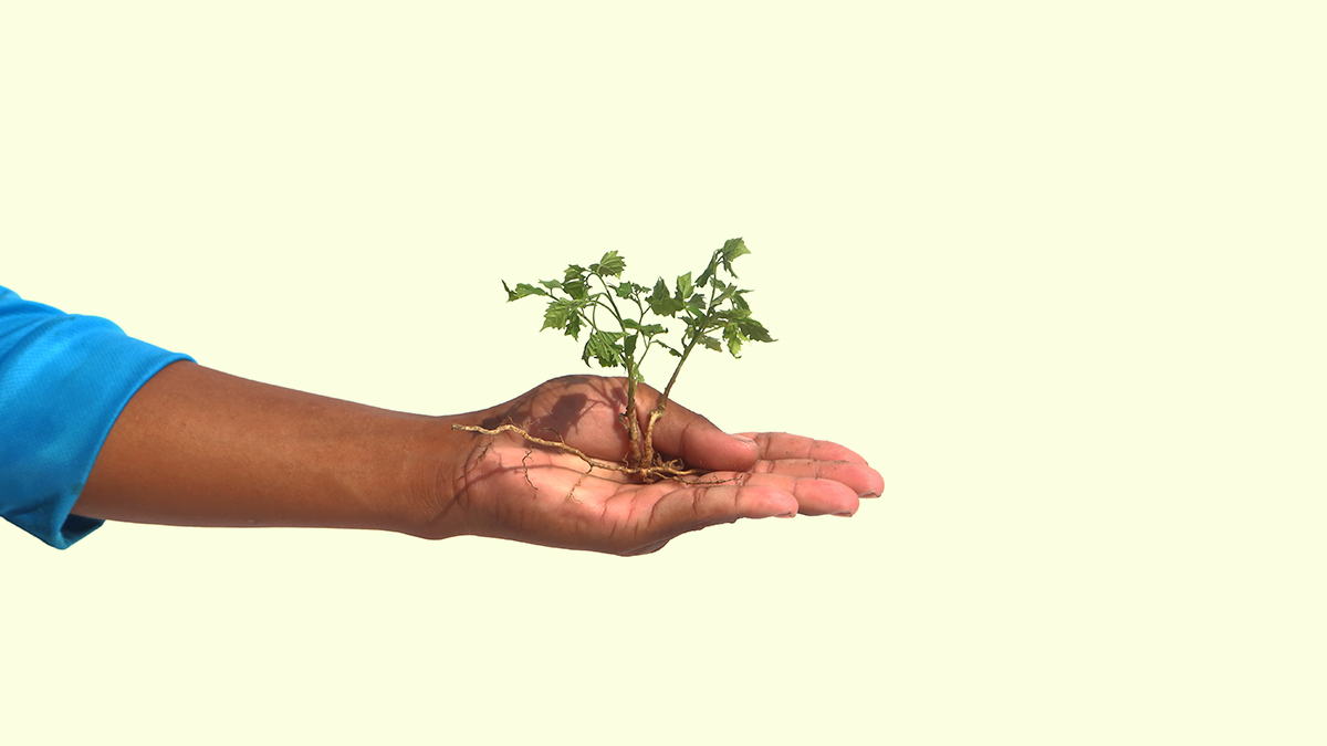 如何健全衡量ESG中的「S」？