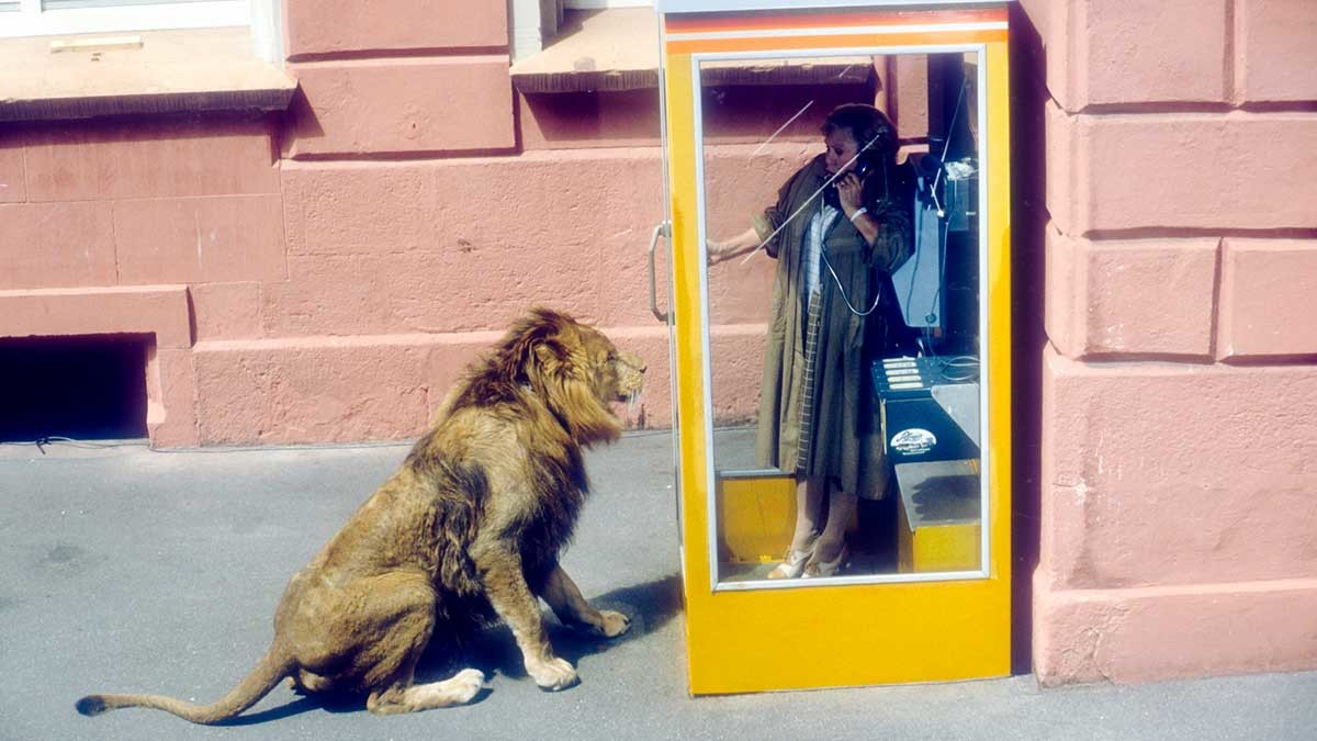 何時不必跨出舒適圈？