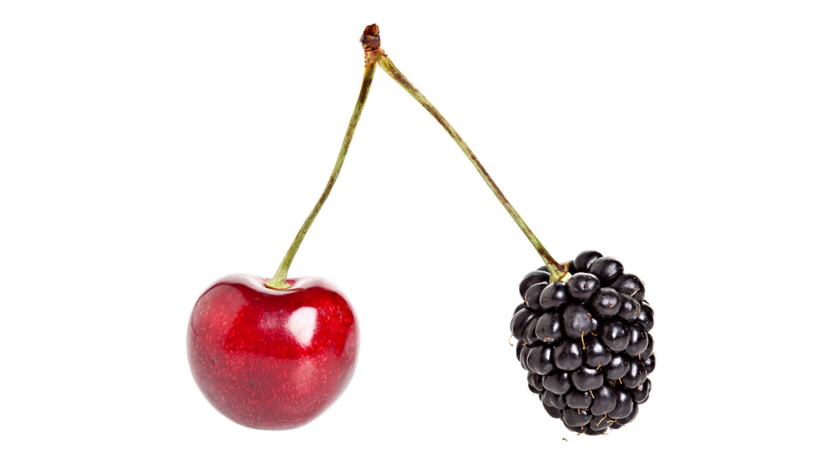 為什麼你至少要有兩份職業