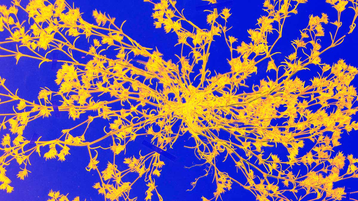 愈了解自己，愈有韌性